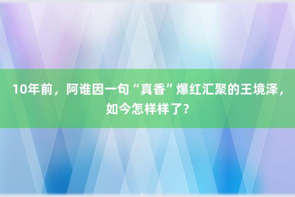 10年前，阿谁因一句“真香”爆红汇聚的王境泽，如今怎样样了？