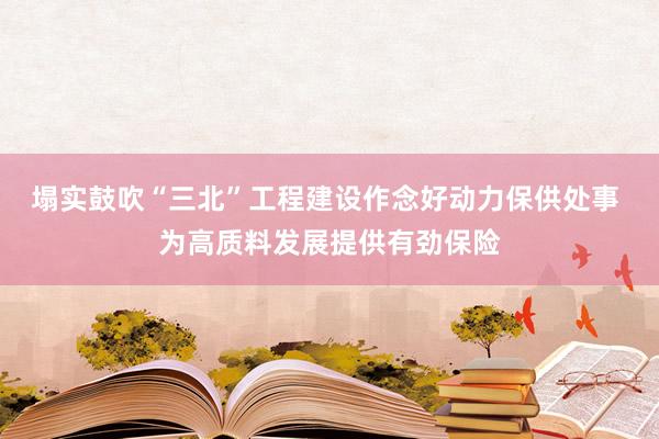 塌实鼓吹“三北”工程建设作念好动力保供处事 为高质料发展提供有劲保险