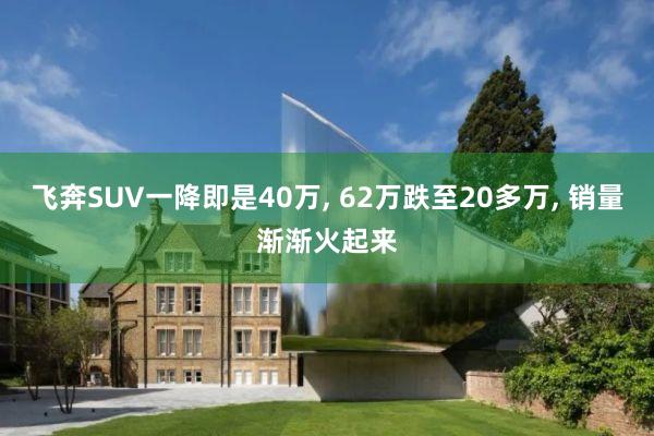 飞奔SUV一降即是40万, 62万跌至20多万, 销量渐渐火起来