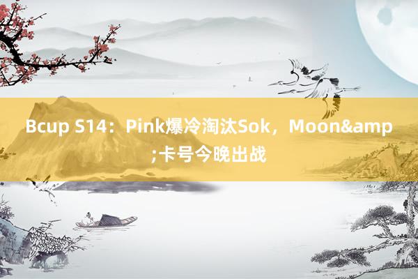 Bcup S14：Pink爆冷淘汰Sok，Moon&卡号今晚出战