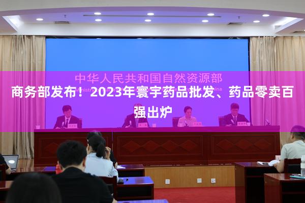 商务部发布！2023年寰宇药品批发、药品零卖百强出炉